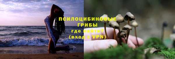 трава Елабуга
