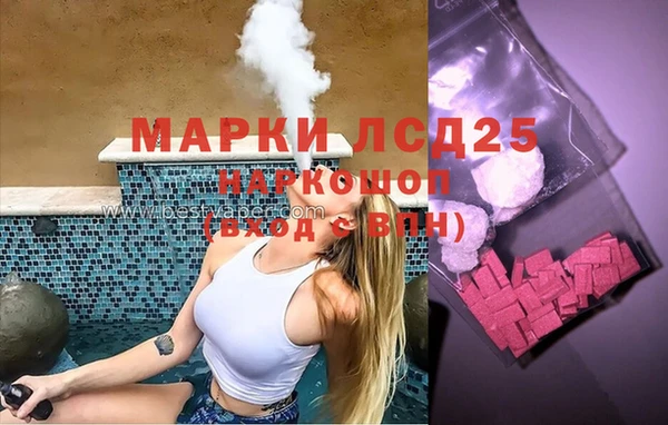 крисы Ельня