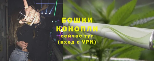трава Елабуга