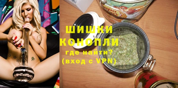 крисы Ельня