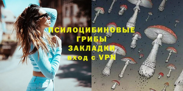 крисы Ельня