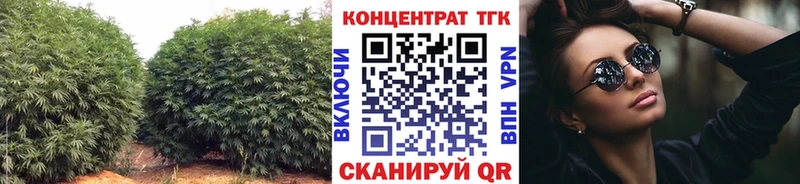 Дистиллят ТГК Wax Вичуга