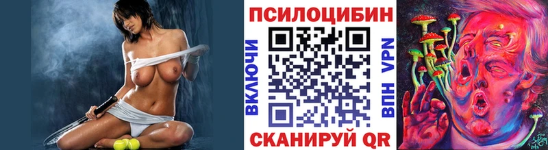 Купить  Вичуга  Псилоцибиновые грибы прущие грибы 